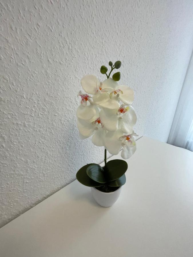 Lucky Stays Ls07 - Vollausstattung - Zentrum - Aufzug - Grosse Kueche - 2 Zimmer - Smart-Tv Magdebourg Extérieur photo