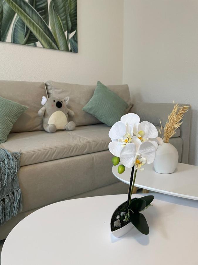 Lucky Stays Ls07 - Vollausstattung - Zentrum - Aufzug - Grosse Kueche - 2 Zimmer - Smart-Tv Magdebourg Extérieur photo